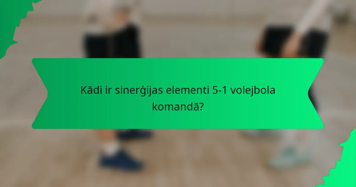 Kādi ir sinerģijas elementi 5-1 volejbola komandā?